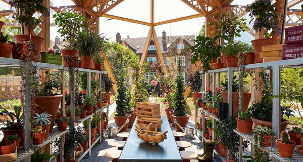 The exterior indoor garden view of Maggie’s Manchester, with lush greenery and plant pots. 