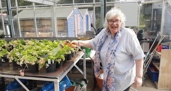 Lady watering plants 