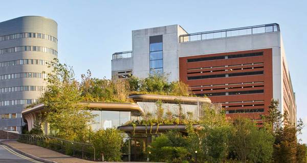 Side view of Maggie’s Yorkshire, showing the interconnected timber pots and the lush greenery that surrounds and climbs the structure.