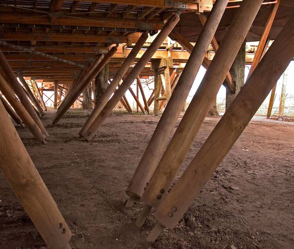 View of the Glulam timber beams to support the treehouse.