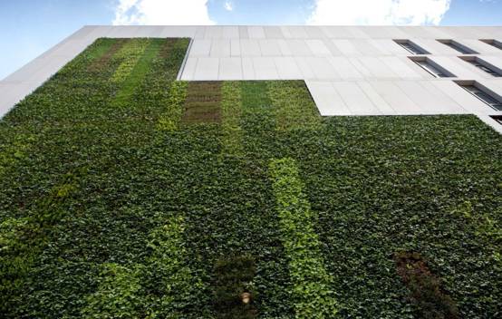 The Living green wall at The Core, part of the Helix development in Newcastle