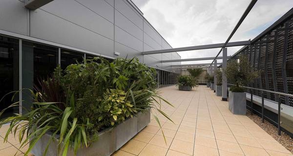  Wide shot of the rooftop garden at Sports Central.