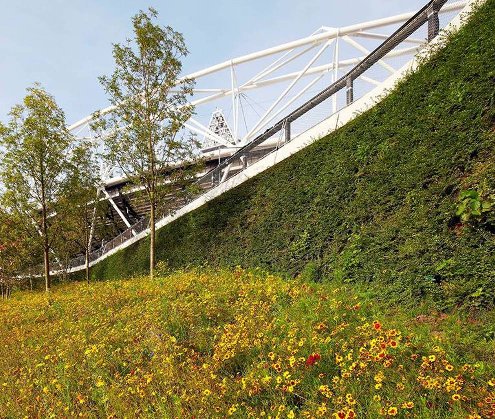 Exterior shot of the Olympic Stadium's with lush greenery surrounding Stadium 