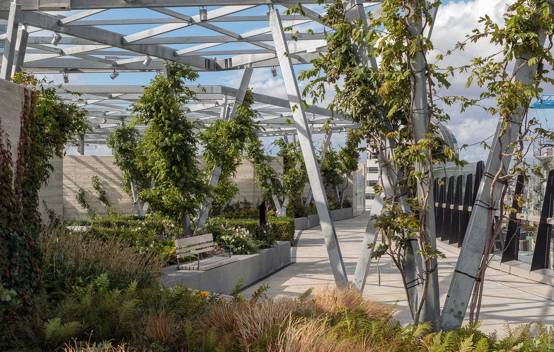 View of the publicly accessible rooftop garden at Fen Court, featuring a diverse array of plants and offering 360-degree views of the London skyline.