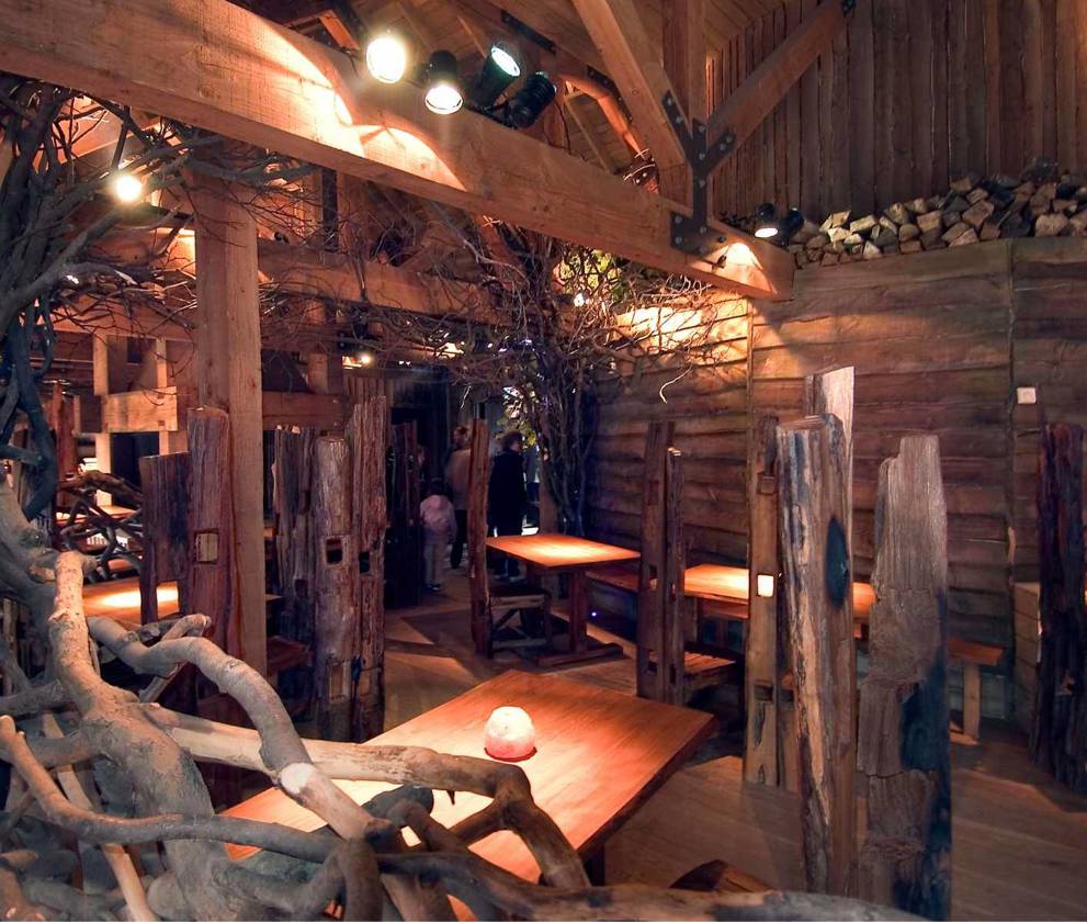 A cozy interior shot of the treehouse with wooden beams, hanging lanterns, and rustic furniture.