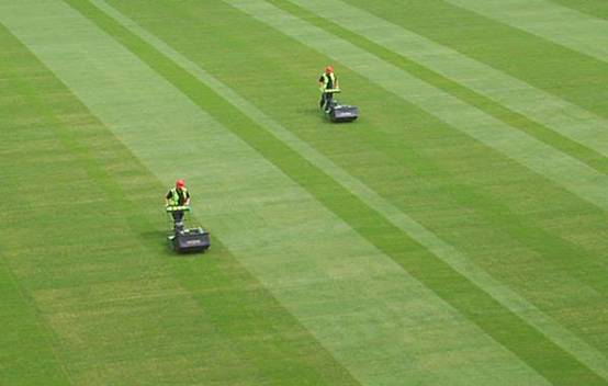 Groundskeepers meticulously maintains the lush, green pitch at Emirates Stadium