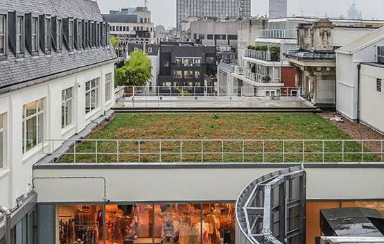 The rooftop garden at Selfridges