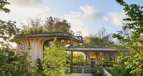 Exterior view of Maggie’s Yorkshire at St James’ University Hospital in Leeds, featuring its trio of interconnected timber pots and landscaped roofs.