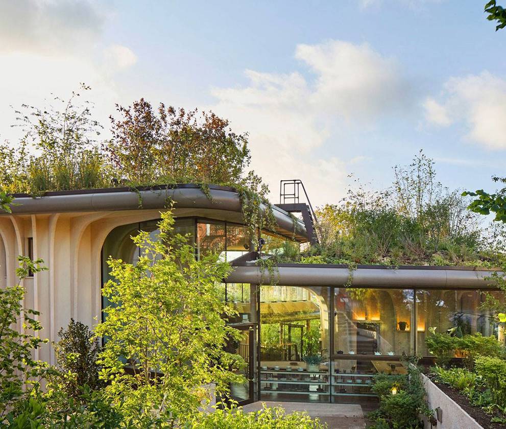 Exterior view of Maggie’s Yorkshire at St James’ University Hospital in Leeds, featuring its trio of interconnected timber pots and landscaped roofs.